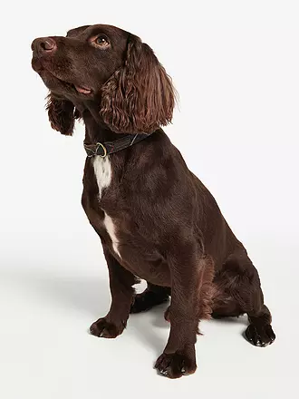 BARBOUR | Hunde Halsband Tartan | 